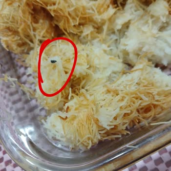 Markalı Kadayıf Ürününde Böcek Bulundu