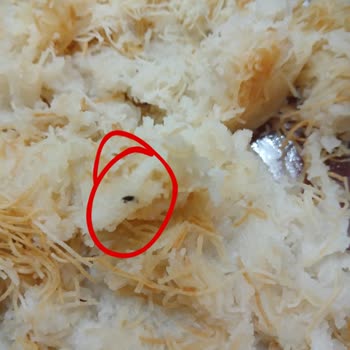 Markalı Kadayıf Ürününde Böcek Bulundu