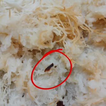 Markalı Kadayıf Ürününde Böcek Bulundu