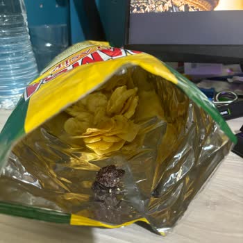 Samba Cipsin İçinden Yanık Bir Şey Çıktı