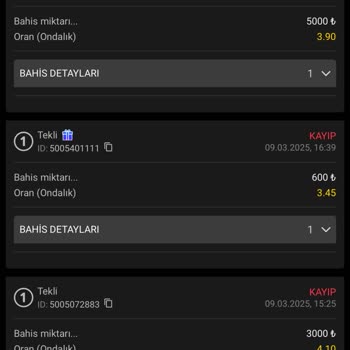 Enbet Bahis Sitesinde Kayıp Ve Bonus Sorunu