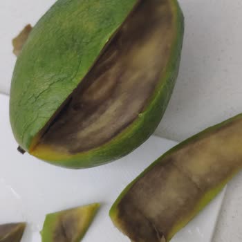 Migros'tan Aldığımız Mango Hayal Kırıklığı Yarattı