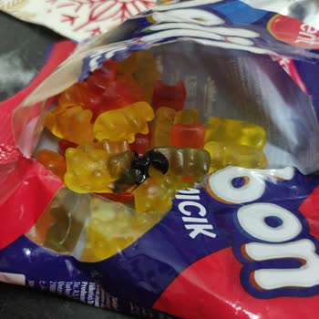 Kent Marka Jelibon Paketinde Şok Edici Durum