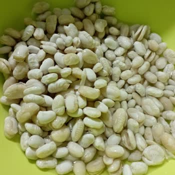 Kuru Fasulye Kalitesizliği Üzüntü Yaratıyor