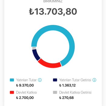 BES Hesabında Eksik Tutar Ve Fon Dağılımı Sorunu