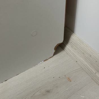 Taşınma Hizmetinde Yaşanan Sorunlar