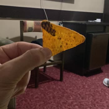 Cipsin Sağlık Tehdit Eden Durumu