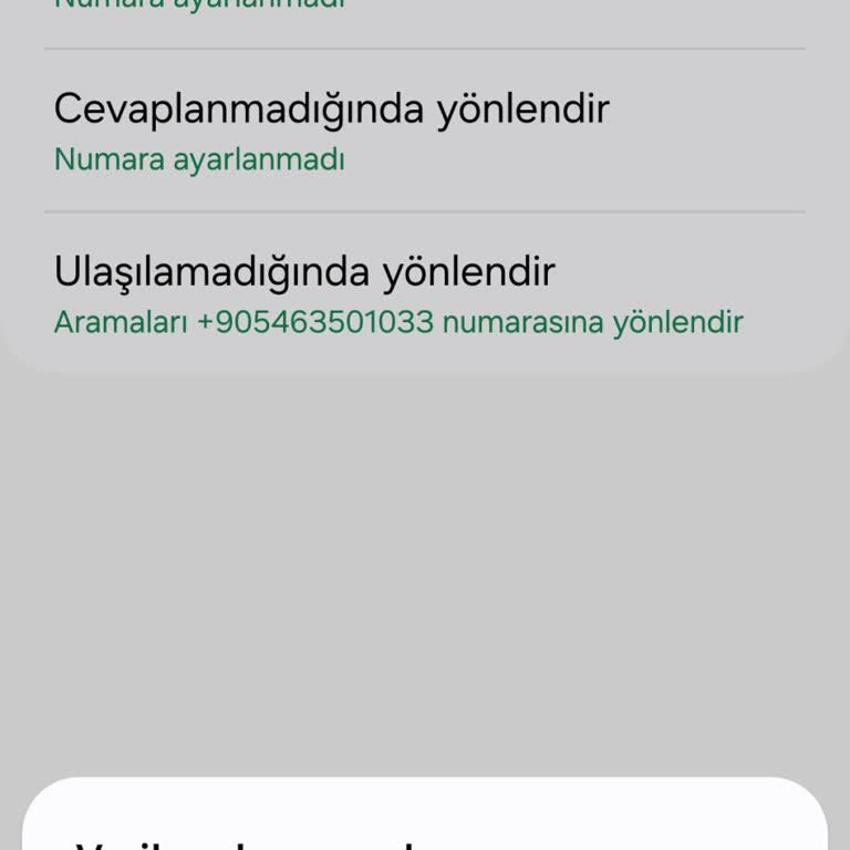 Vodafone'da Çözülemeyen Basit Sorun: Arama Yönlendirme Engeli