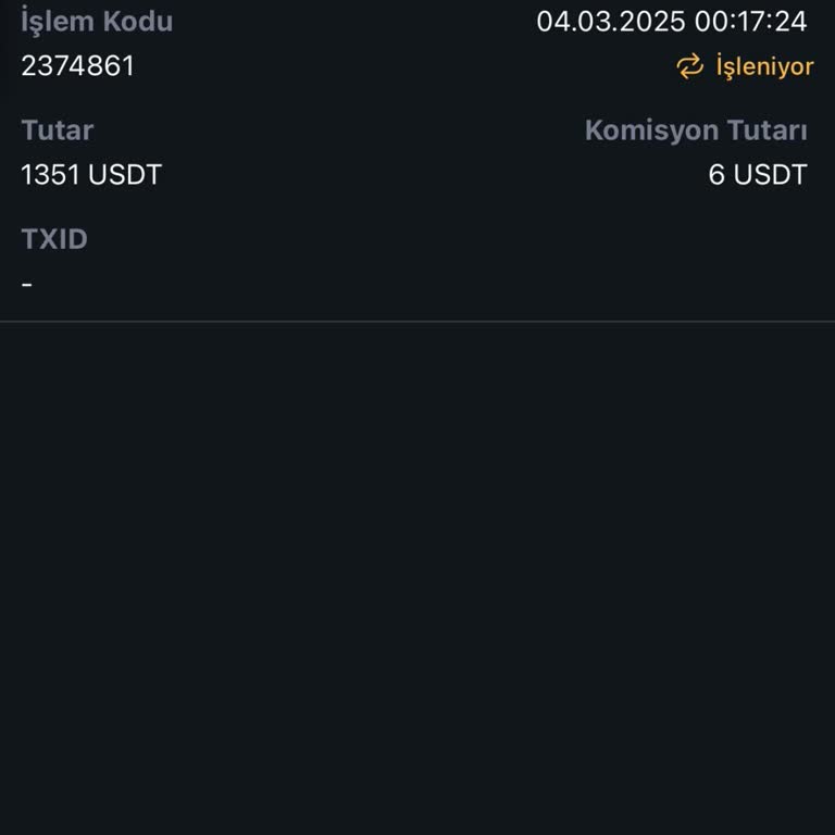 USDT İşleminde Uzayan Bekleyiş