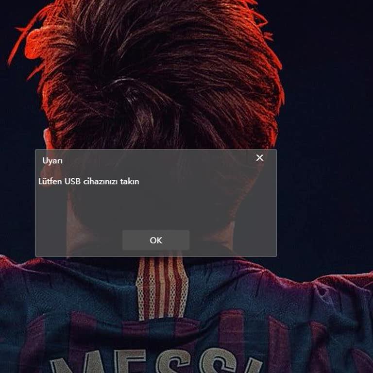 Driver Sorunu: USB Bağlantısı Çalışmıyor
