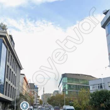 Kasis Eksikliği Yüzünden Tehlike Altındayız