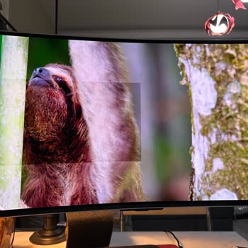 Samsung G8 Monitörde Ekran Sorunu: Çözüm Bekliyorum