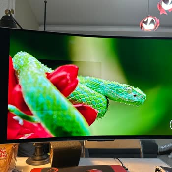Samsung G8 Monitörde Ekran Sorunu: Çözüm Bekliyorum