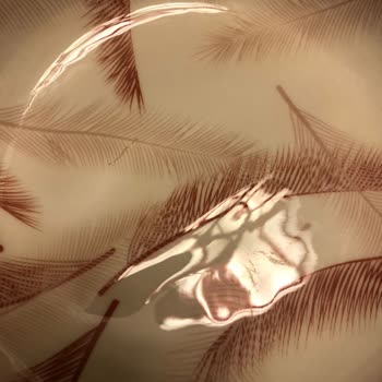 Chakra Kalitesiz Mango Ağacı Salata Kasesi Ve Yetersiz Müşteri Hizmetleri!