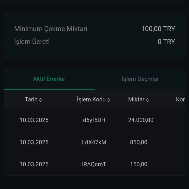 Bitci'de Para Çekme Sorunu Ve Yetersiz Destek