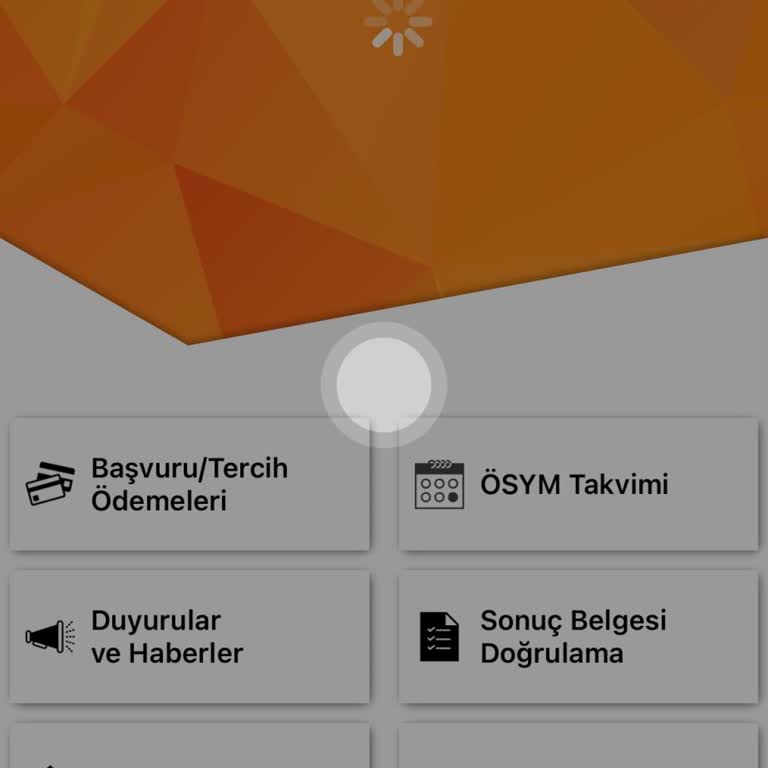 Giriş Sorunları Ve Destek Eksikliği