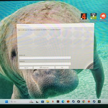 FC25 Giriş Sorunu Ve Hata Mesajı