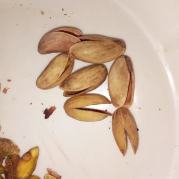 Amigo Antep Fıstıklarında Kalite Sorunu