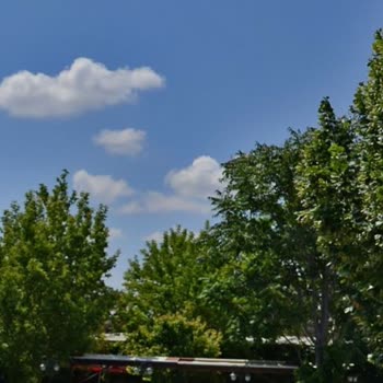 Yandex Maps Uygulamasının Güncellenmeyen Haritaları