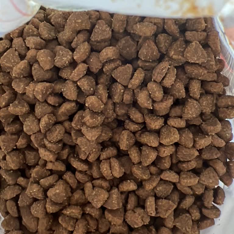 Kedimi Hasta Eden Mama Ve İlgisiz Mağaza