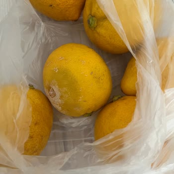 Migros Bozuk Ürün Ve İşlevsiz Müşteri Hizmetleri Sorunu