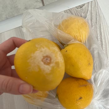 Migros Bozuk Ürün Ve İşlevsiz Müşteri Hizmetleri Sorunu