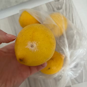 Migros Bozuk Ürün Ve İşlevsiz Müşteri Hizmetleri Sorunu