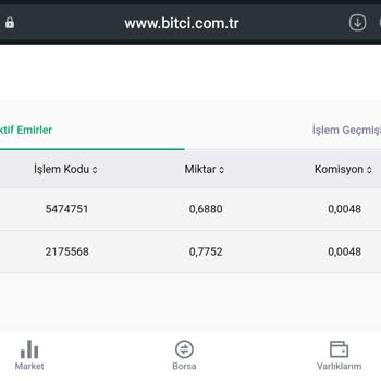 Bitci Borsasında Ethereum Transfer Sorunu