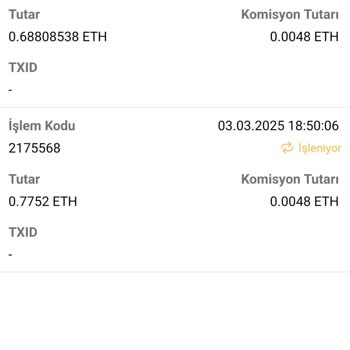 Bitci Borsasında Ethereum Transfer Sorunu