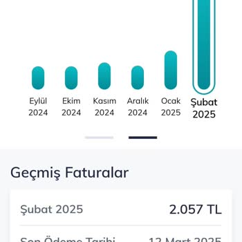 Yurt Dışı Paketinin Kullanılamaması Ve Yüksek Fatura Şoku