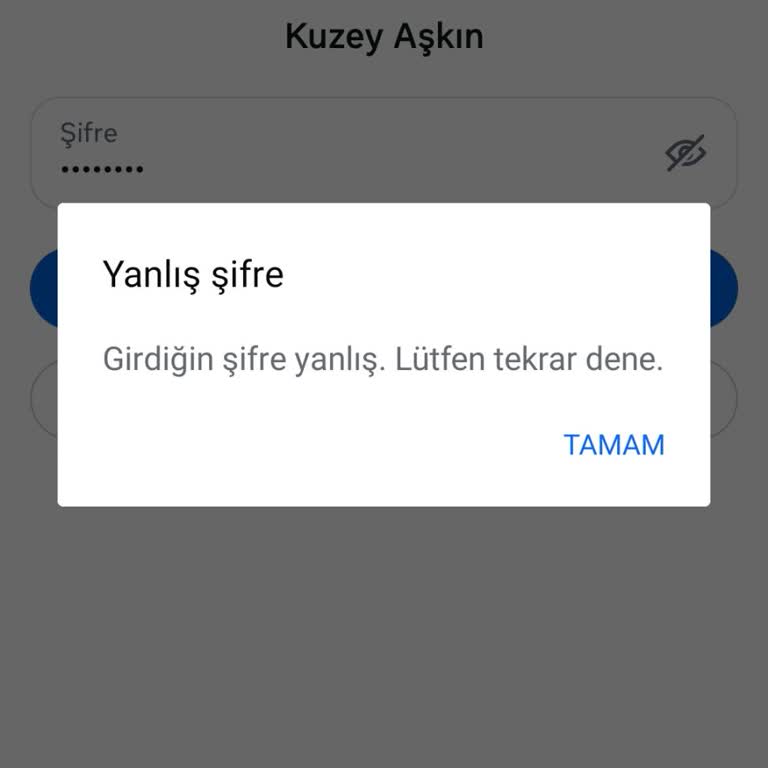Telefon Servisi Sonrası Hesap Erişim Sorunu