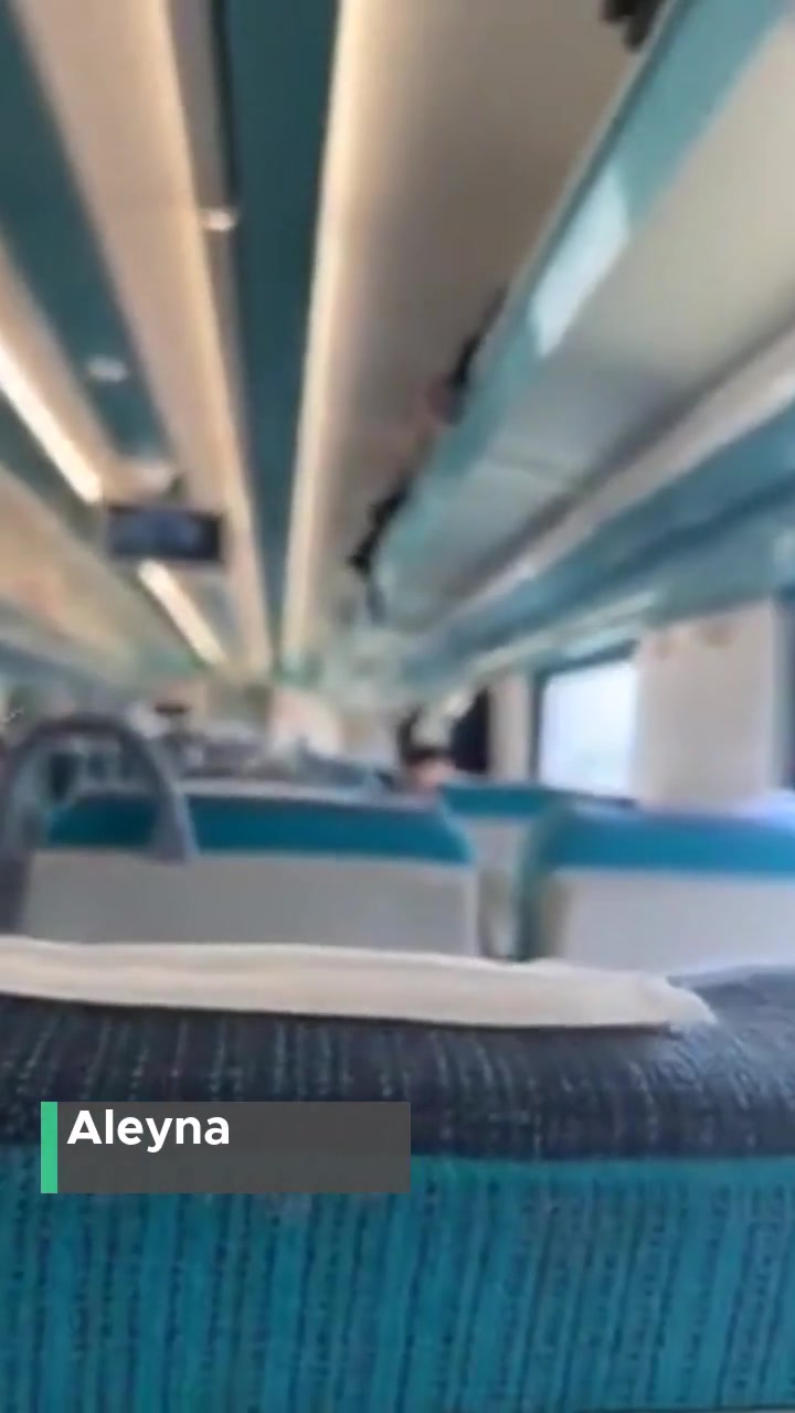 YHT | Yüksek Hızlı Tren Ada Bölgesel Tren Sorunu! videonun kapak resmi