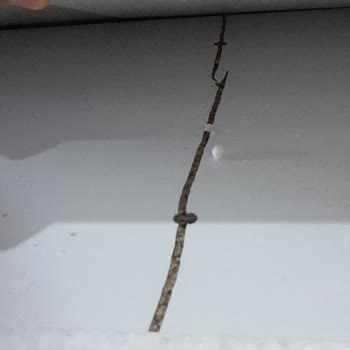 Kırık Ürün Ve İade Sürecinde İletişim Sorunları