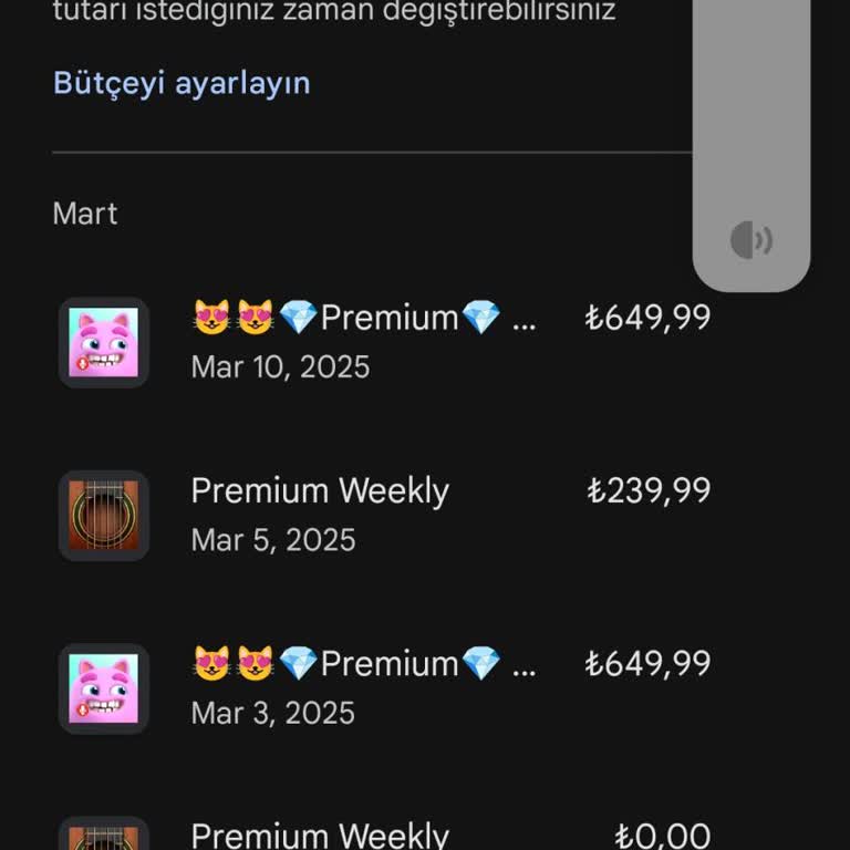 Çifte Çekim Şoku: Google Pixeland'den Habersiz Para Kesintisi!