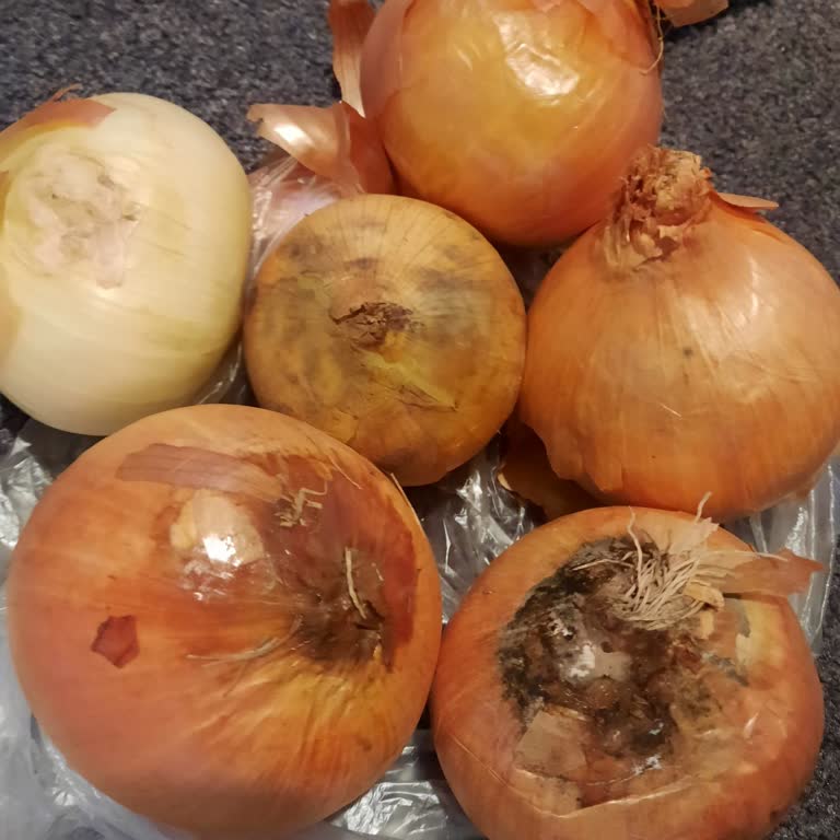 Migros Hemen'den Gelen Çürük Soğanlar