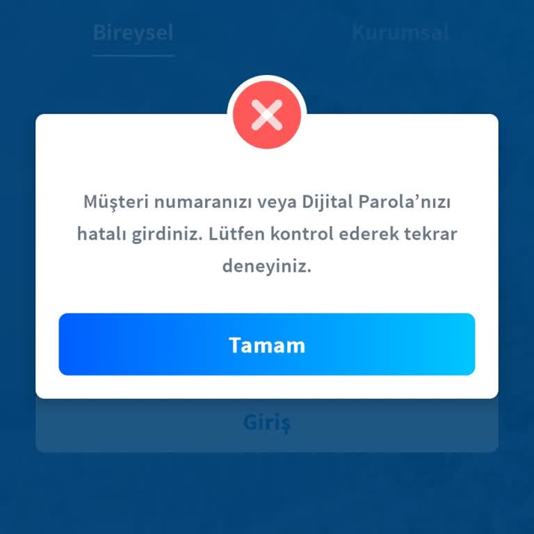 Halkbank Mobil Uygulama Giriş Sorunu Ve Çözüm Beklentisi