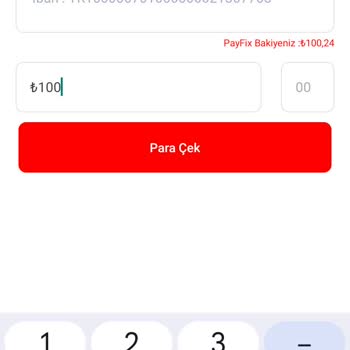 Payfix İle Para Transferi Sorunu