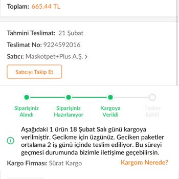 Sürat Kargo'nun Bitmeyen Gecikmesi Ve Umursamaz Tavırlar