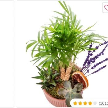 Çiçek Sepeti'nde Hayal Kırıklığı: Yanlış Ürün Ve İptal Sorunu