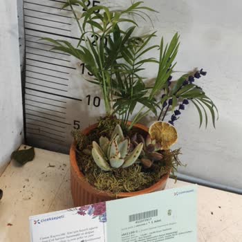 Çiçek Sepeti'nde Hayal Kırıklığı: Yanlış Ürün Ve İptal Sorunu