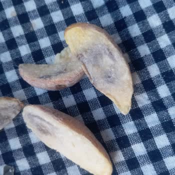 Küflü Patates Şoku: Güven Sarsıldı!