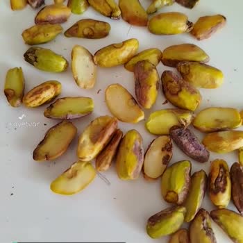 Amigo Antep Fıstık Çürük