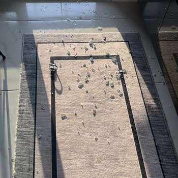 Bernardo Tencerenin Patlayan Kapağı Tehlike Saçtı