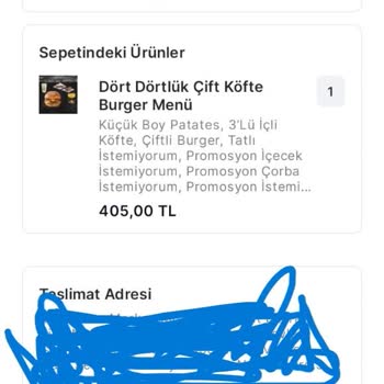Hamburgerde Plastik Çöp Şoku