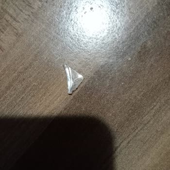 Hamburgerde Plastik Çöp Şoku