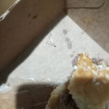 Hamburgerde Plastik Çöp Şoku