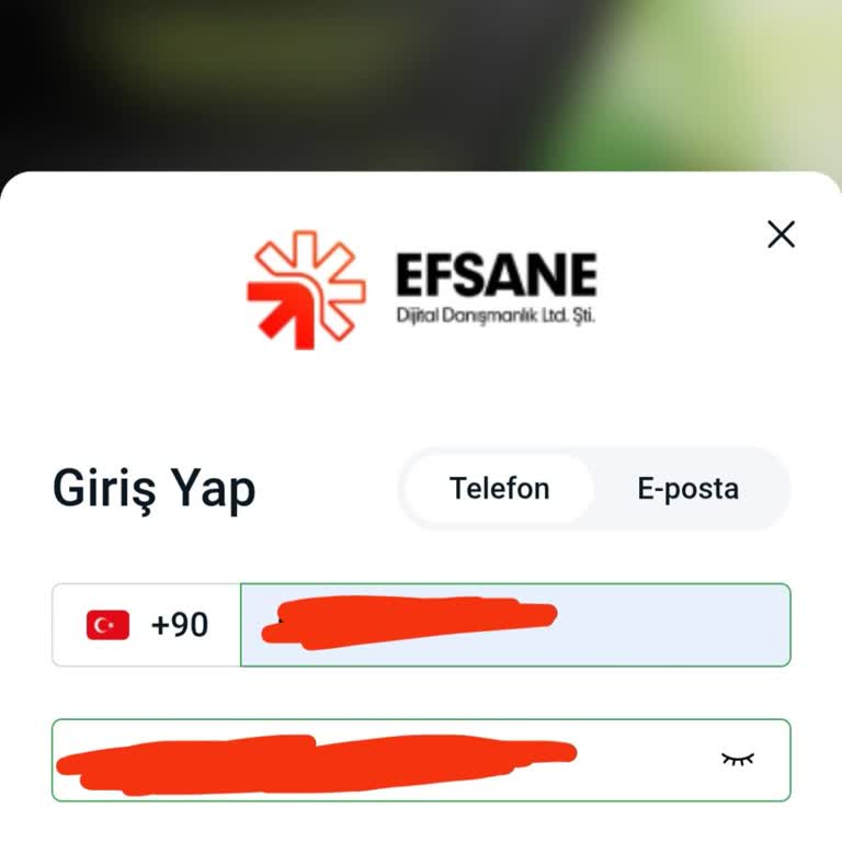 Giriş Sorunu: Şifre Hatası Ve Yardım Talebi