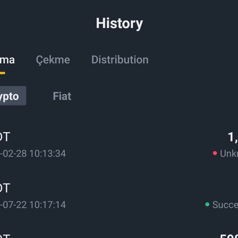 Binance TR'de USDT Çekme Sorunu Ve Acil Yardım Talebi