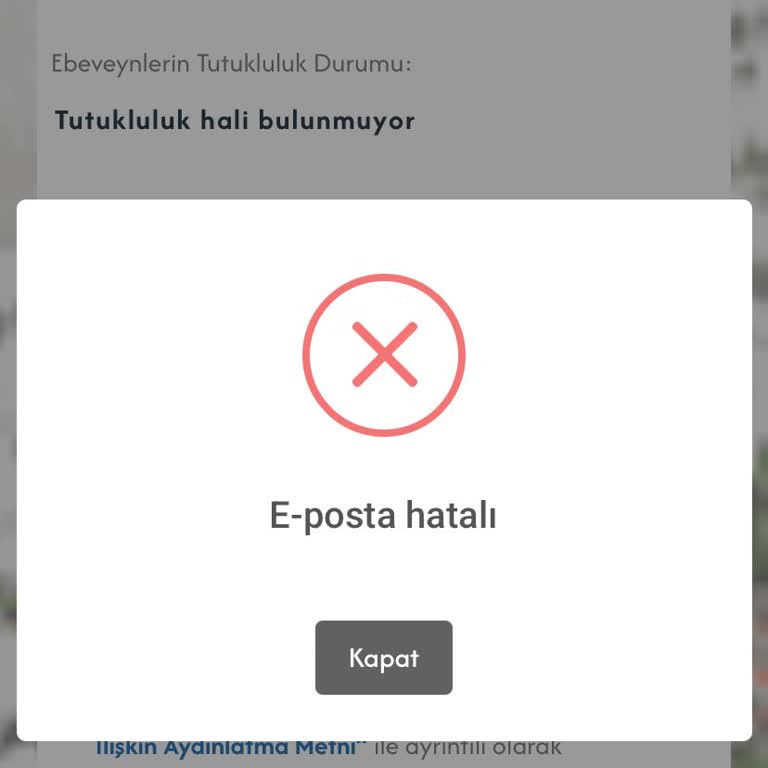 Başvuru Sürecinde E-posta Hatası Sorunu