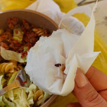 Migros'tan Aldığım Hindi Tandırda Böcek Şoku